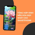 Hình nền hoa đẹp ngập tràn sắc hương mà bạn nên sở hữu