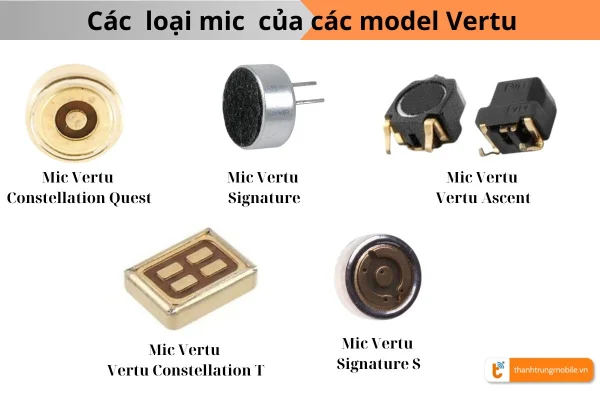 thay-mic-vertu-1