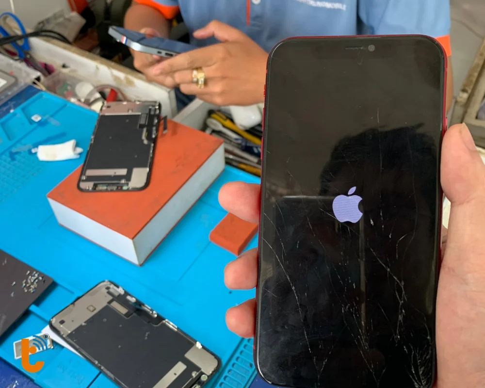 Kiểm tra toàn diện pin và phần cứng iPhone 11 Pro Max trước khi lắp pin vào máy