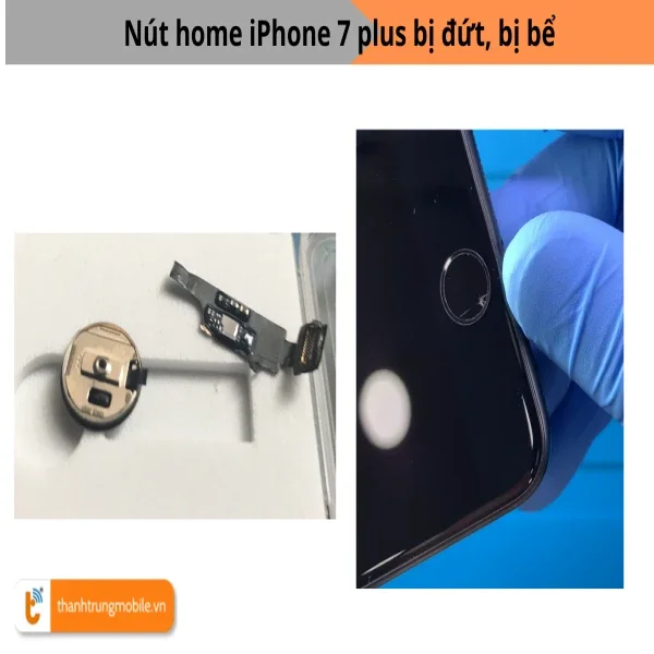 nut-home-7-plus-bi-dut-be