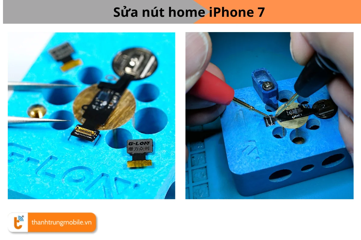 Sửa nút home iPhone 7