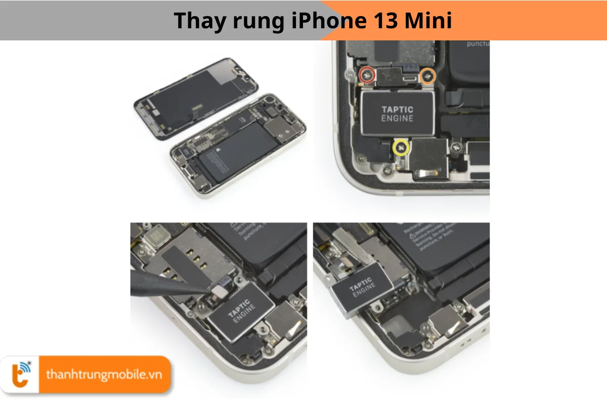 Thay rung iPhone 13 mini