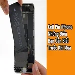 Cell Pin iPhone: Những Điều Bạn Cần Biết Trước Khi Mua