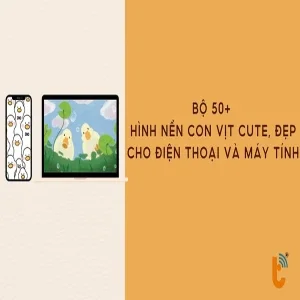 Bộ 50+ hình nền con vịt cute, đẹp cho điện thoại và máy tính