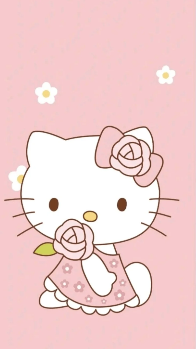 Hình nền Hello Kitty cute 66