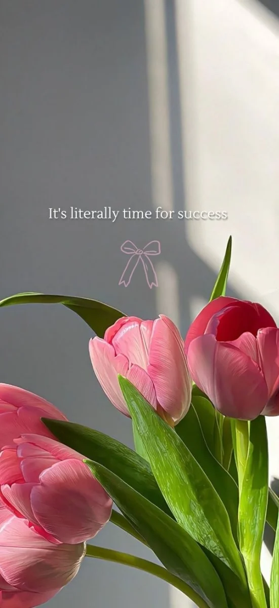 hinh-nen-hoa-tulip-hong-6