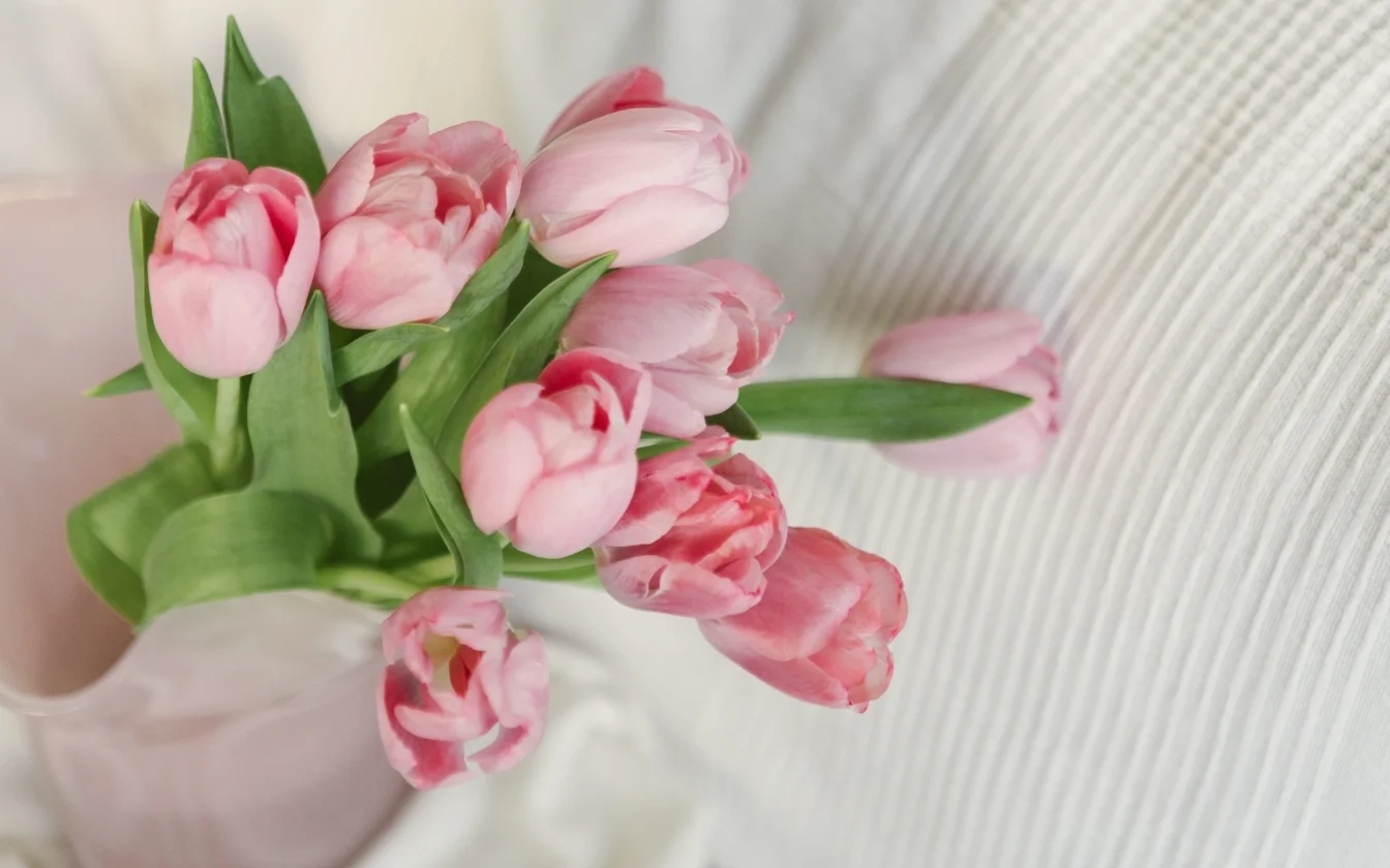 hinh-nen-hoa-tulip