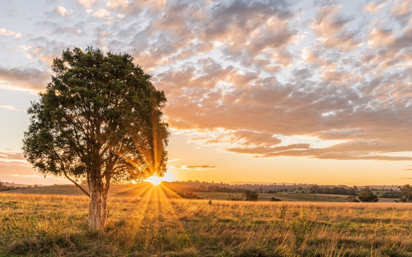 hinh-nen-may-man-cho-menh-tho-2