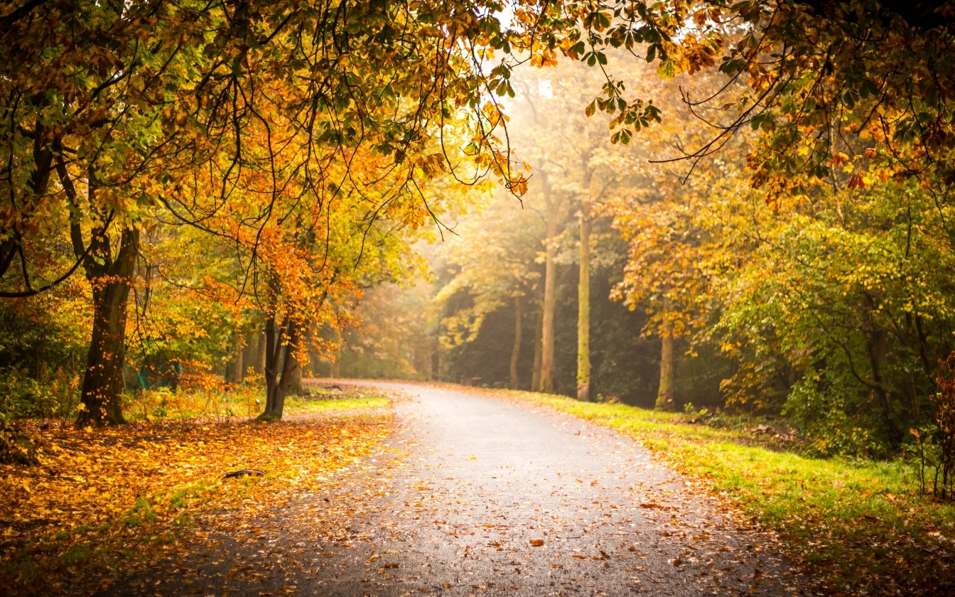 hinh-nen-may-man-cho-menh-tho-3