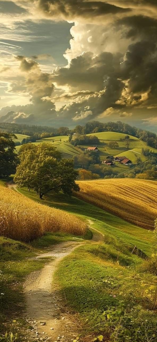 Hinh-nen-may-man-menh-tho-12