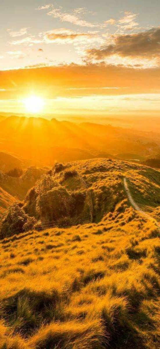 Hinh-nen-may-man-menh-tho-16