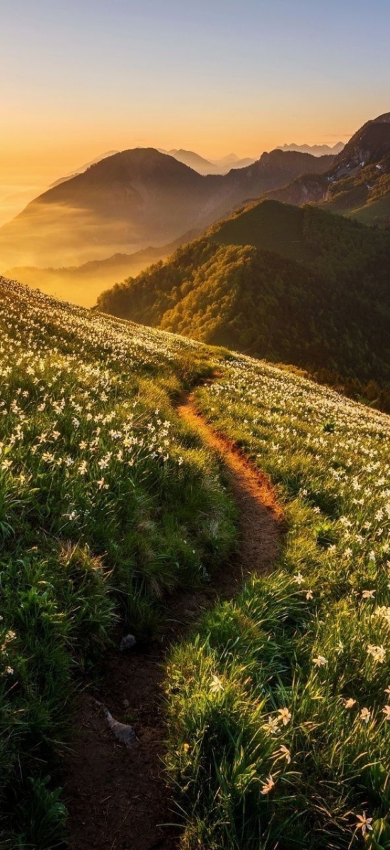 Hinh-nen-may-man-menh-tho-14