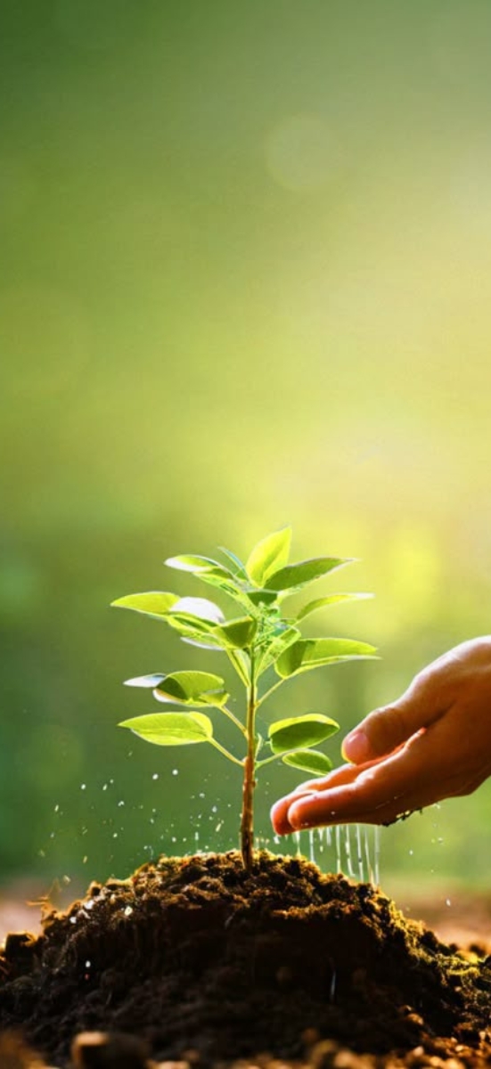 Hinh-nen-may-man-menh-tho-18