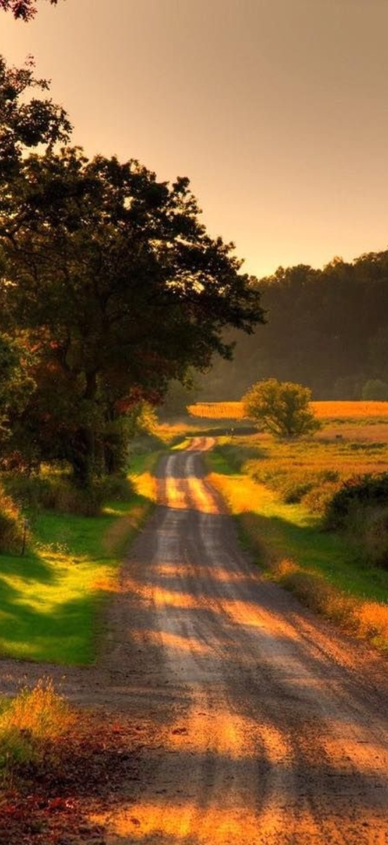 Hinh-nen-may-man-menh-tho-8