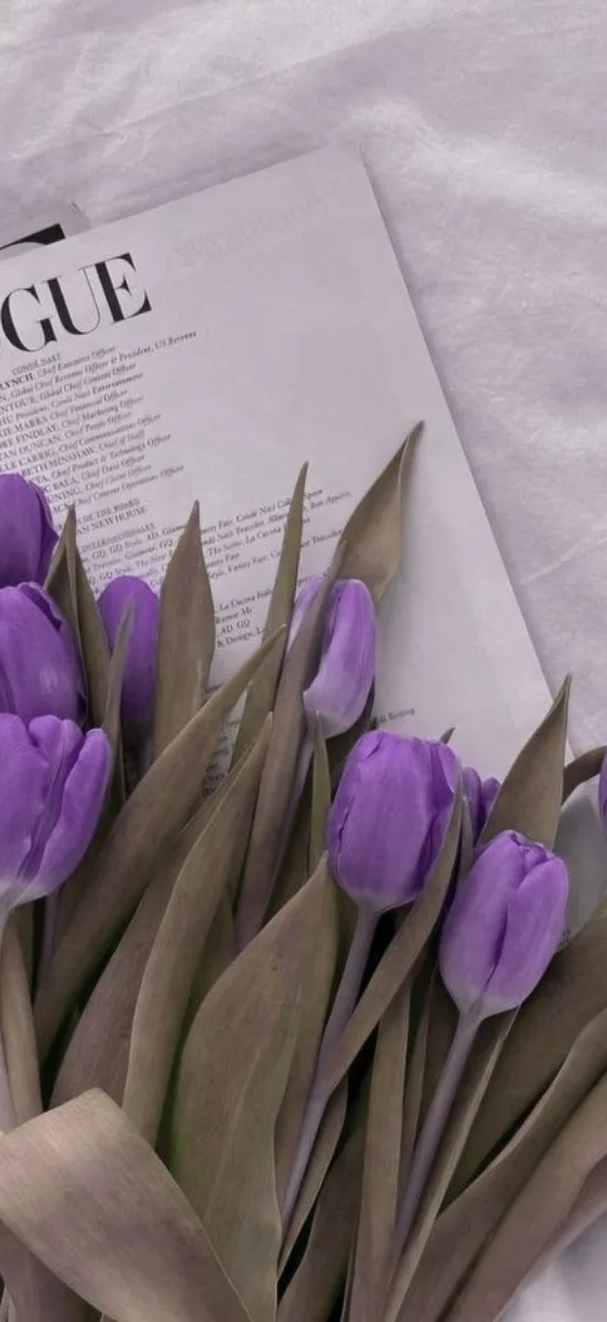 hinh-nen-tulip-tim-4