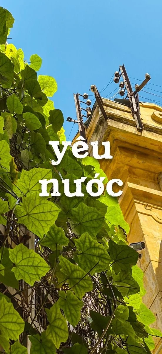hinh-nen-Viet-Nam-9
