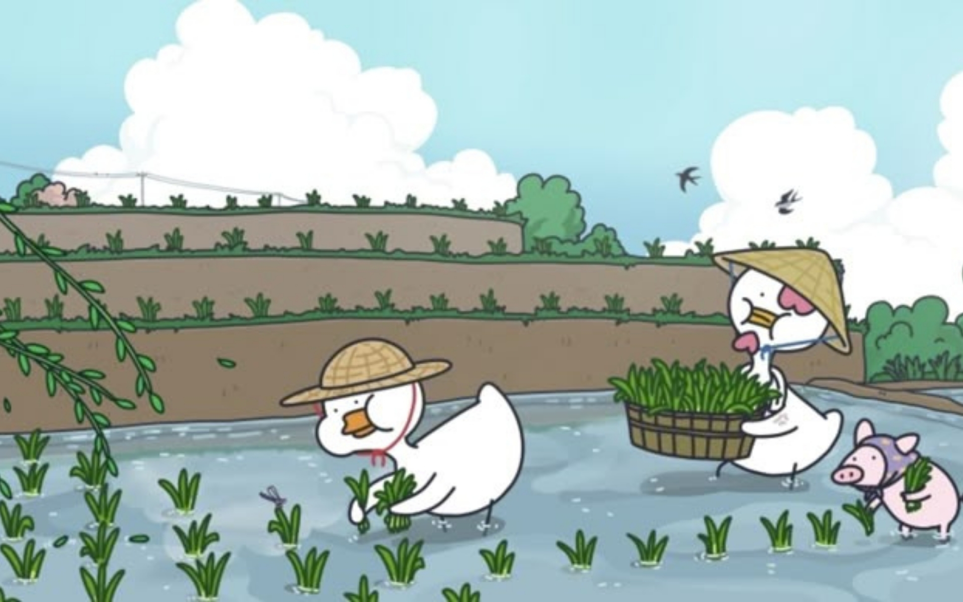 hinh-nen-vit-cho-may-tinh (4)