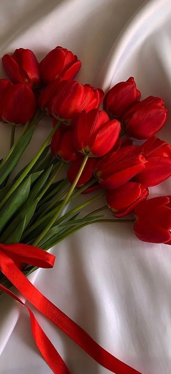 hinh-netulip-do-1