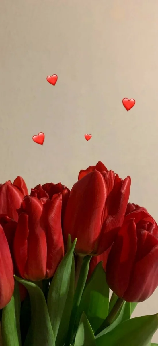 hinh-netulip-do-3