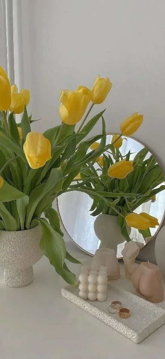 hinh-netulip-vang-3