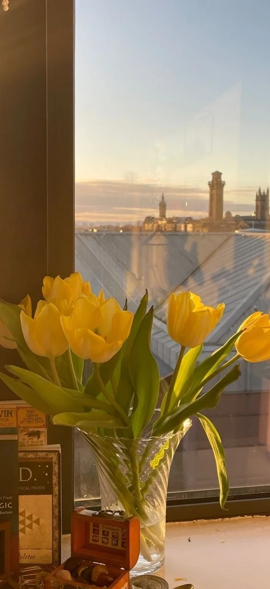 hinh-netulip-vang-5