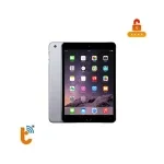 MDM iPad Mini