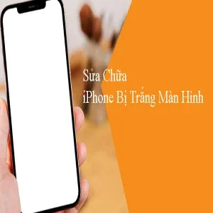 Sửa Chữa iPhone Bị Trắng Màn Hình: Dễ Dàng, Nhanh Chóng