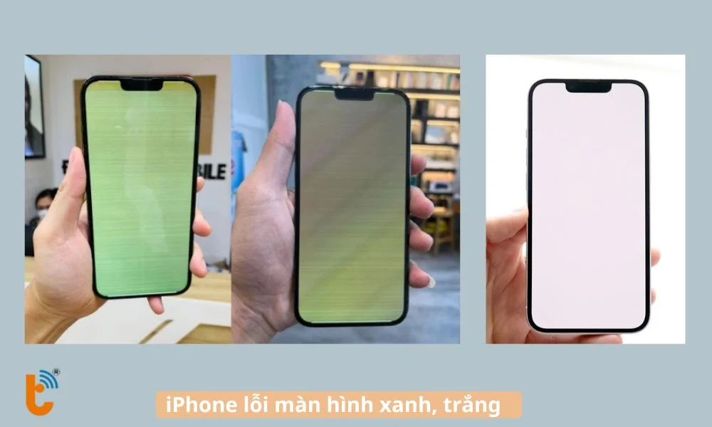 Màn hình bị xanh, trắng