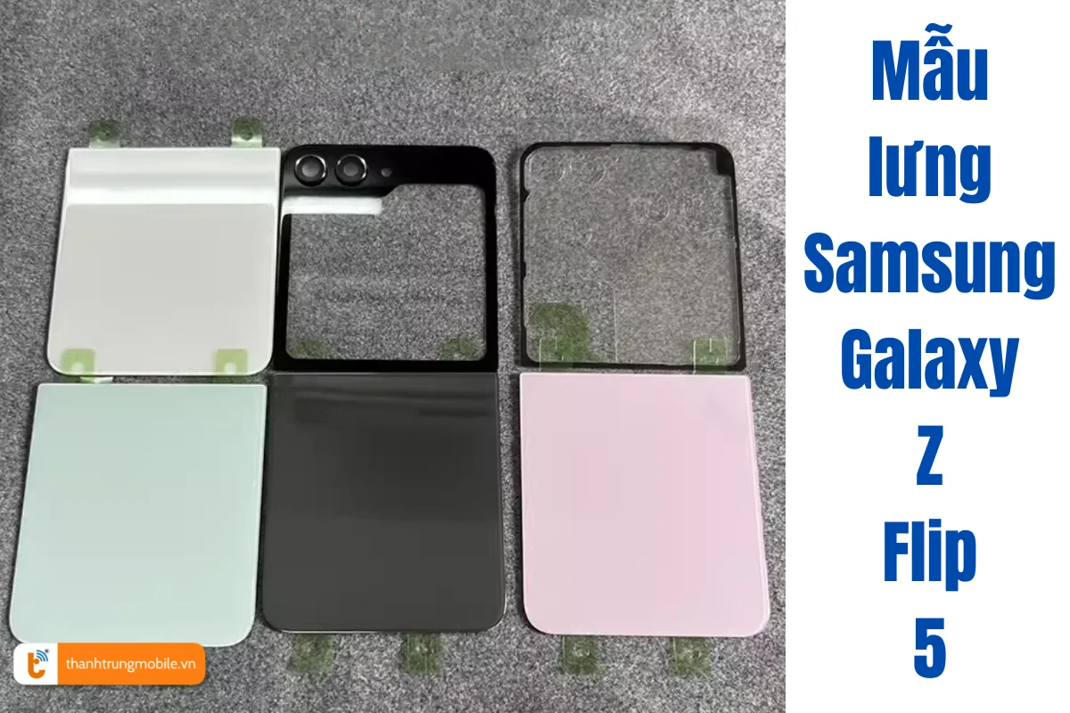 Mẫu lưng Samsung Galaxy Z Flip 5