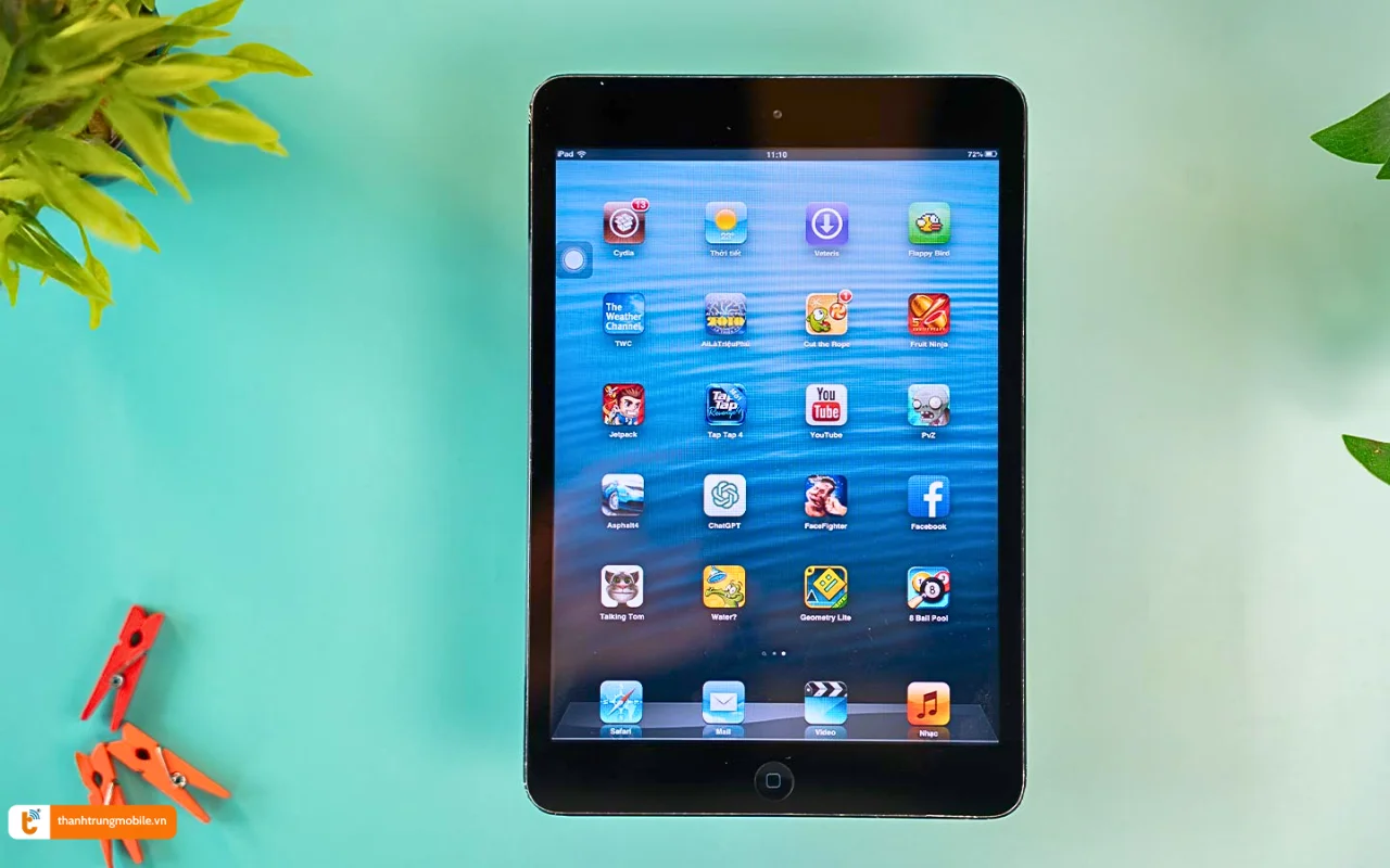 MDM iPad Mini