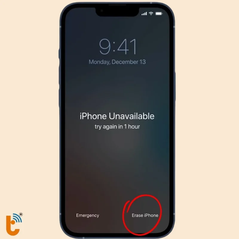 nhan-xoa-iphone (1)
