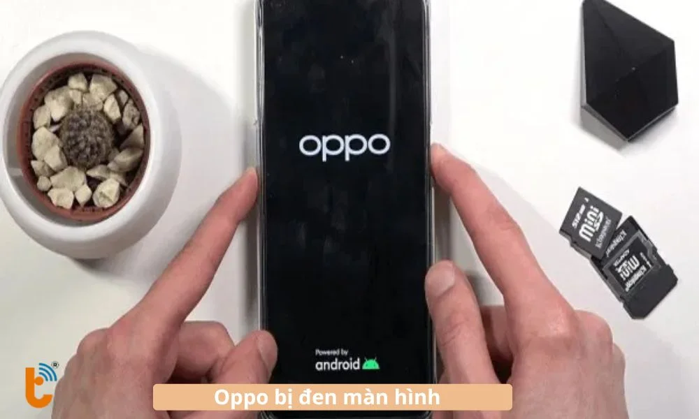 Màn hình Oppo bị đen