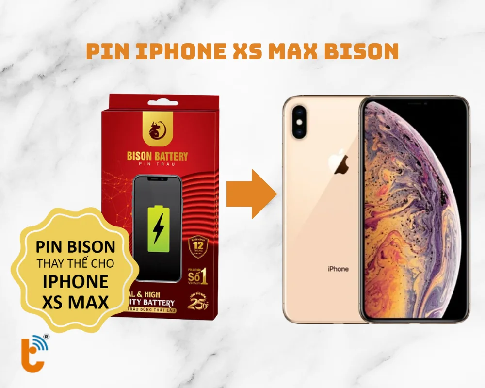 Pin iPhone Xs Max Bison