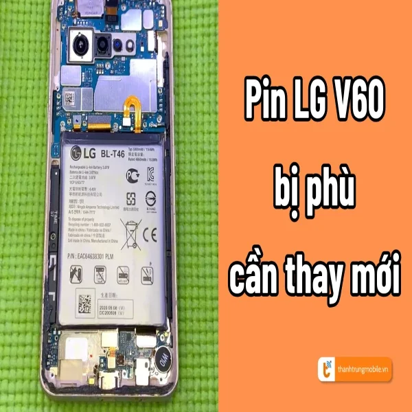 pin-lg-v60