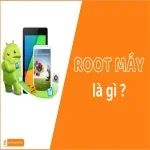 Root máy là gì ? Lợi ích - Rủi ro và Hướng dẫn chi tiết Root