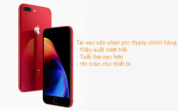 Tai-sao-nen-chon-pin-Apple-chinh-hang