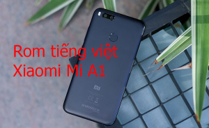 Rom tiếng việt, cài CH Play Xiaomi Mi A1
