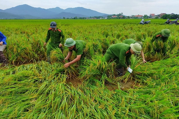 Cảnh sát nhân dân giúp dân thu hoạch lúa