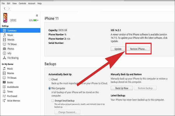 Nhấn vào Restore iPhone nếu không cần sao lưu