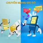 Hướng dẫn chuyển mạng giữ số