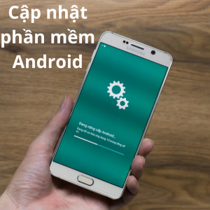 Hướng dẫn cách cập nhật ứng dụng trên Android