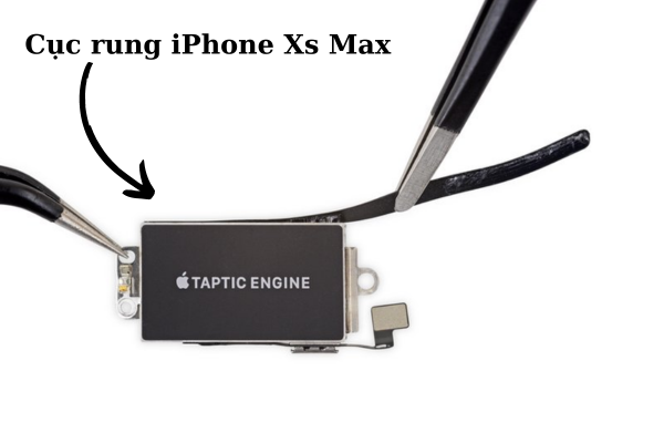 cục rung iphone xs max