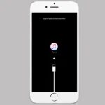 iPhone 6 lỗi 9 - Nguyên nhân và cách sửa lỗi dành cho người dùng