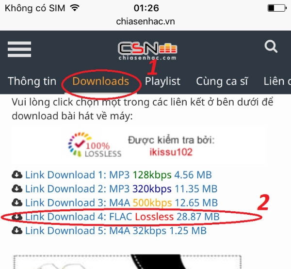 Nhấn sang thẻ  “Download” và chọn chất lượng bạn muốn tải xuống