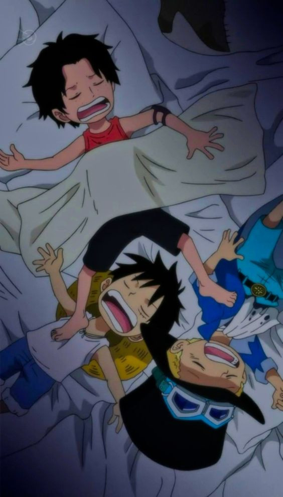 Luffy ngủ cùng hội