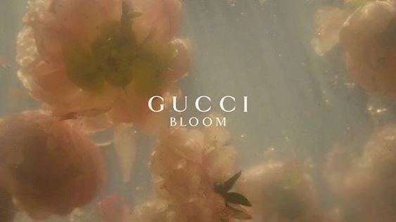 hình nền gucci 10