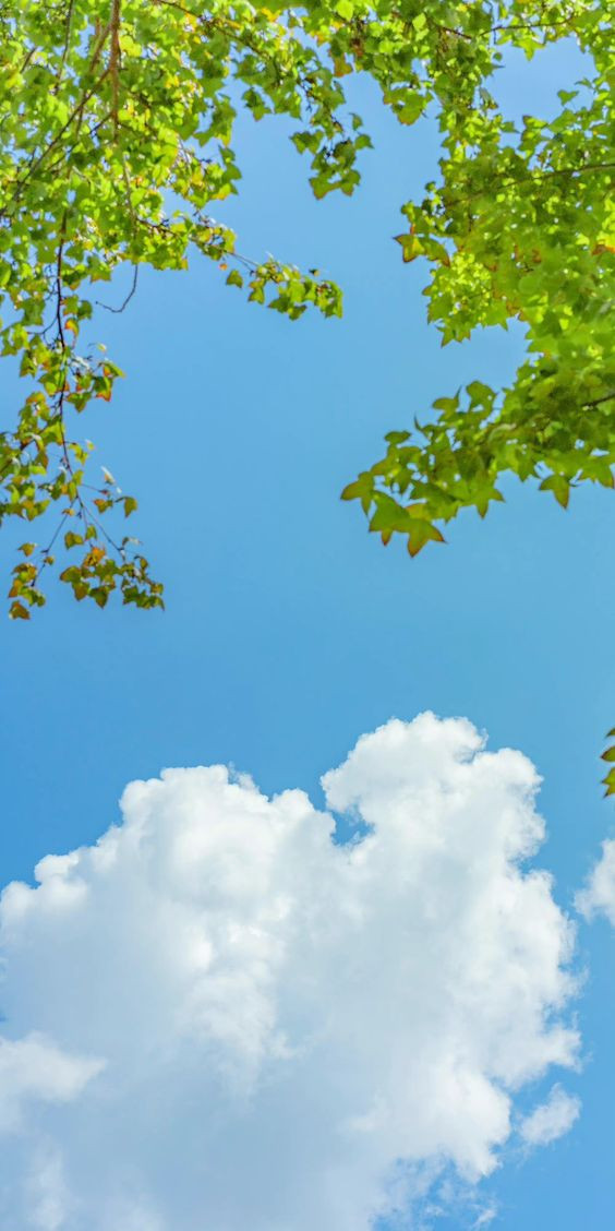 Hình Nền Bầu Trời Mây Nền, HD và Nền Cờ đẹp mây trắng, phong cảnh, xanh để  Tải Xuống Miễn Phí - Lovepik
