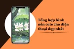 20+ Hình nền cute cho điện thoại cảm ứng mà bạn không thể bỏ lỡ