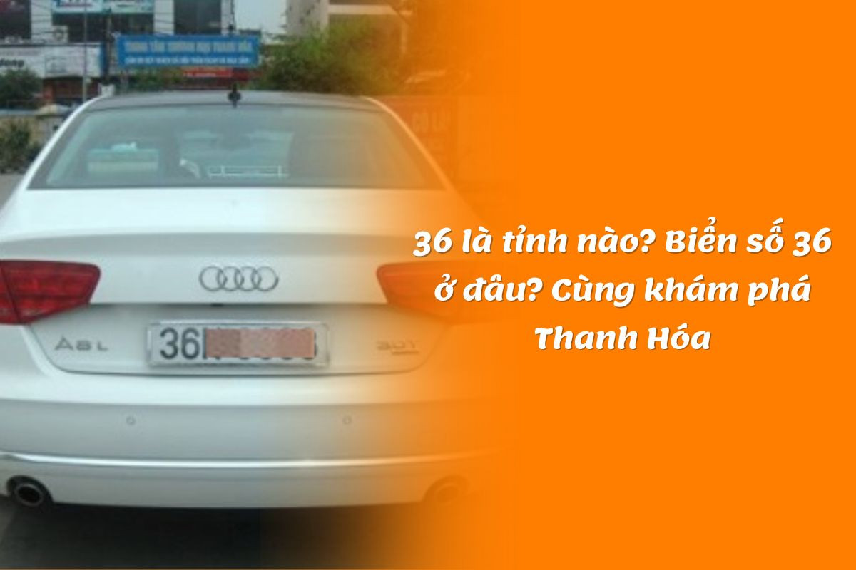 36 là tỉnh nào? Biển số 36 ở đâu? Cùng khám phá Thanh Hóa