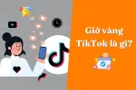 Giờ vàng TikTok là gì? Bật mí khung giờ giúp bạn được nhiều tương tác